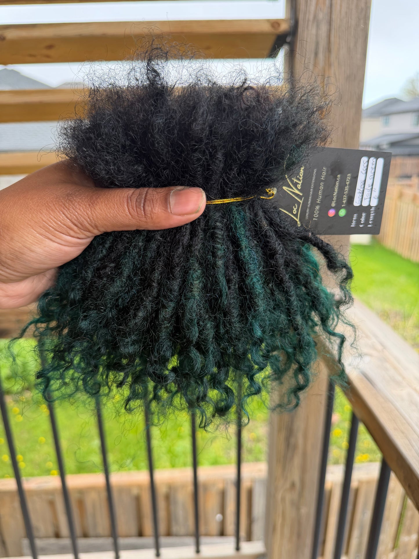 Goddess Locs (80 Strands)