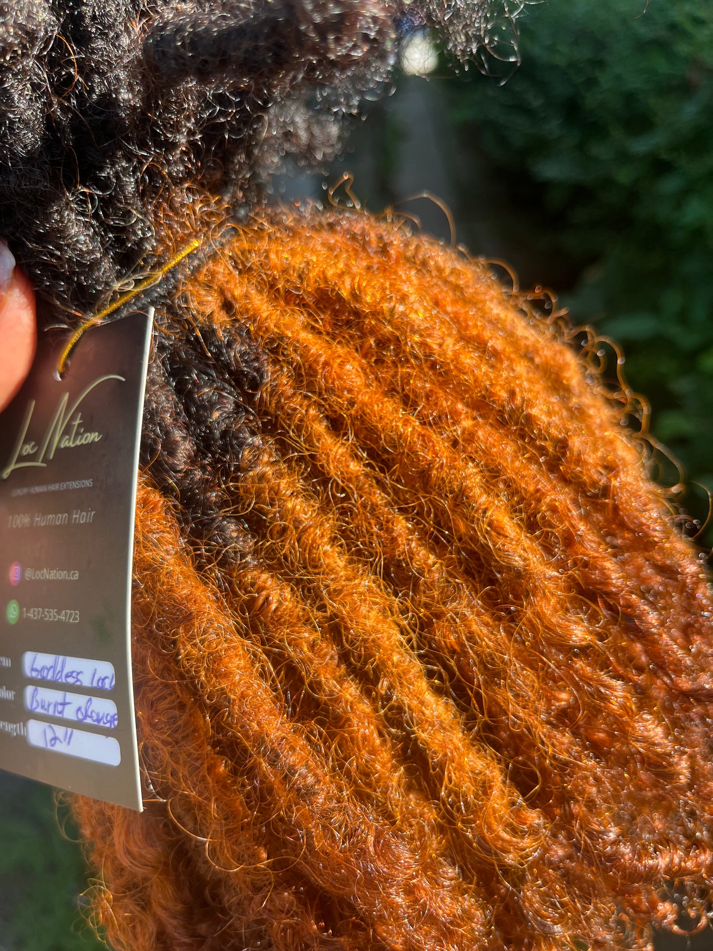 Goddess Locs (80 Strands)
