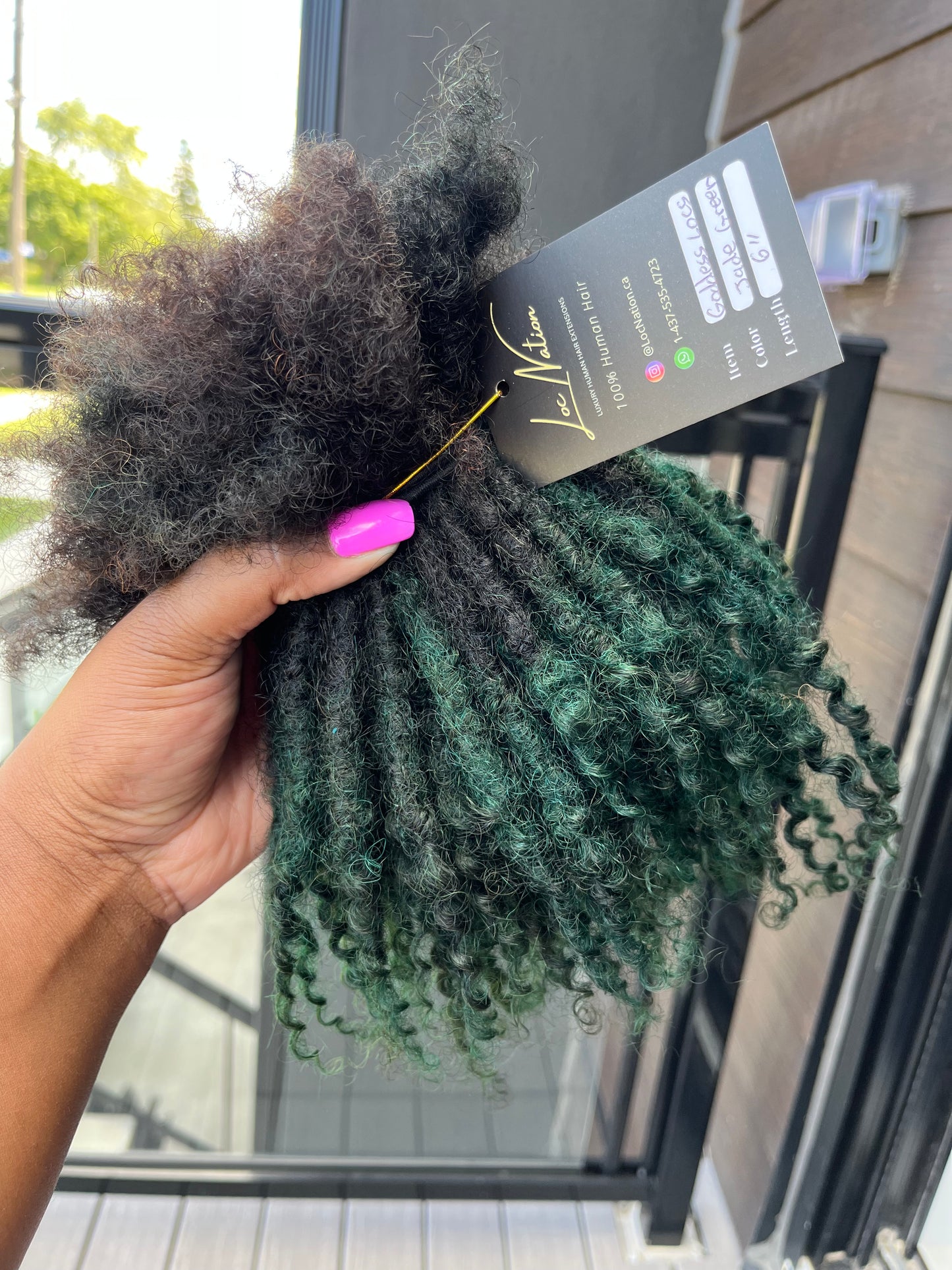 Goddess Locs (80 Strands)
