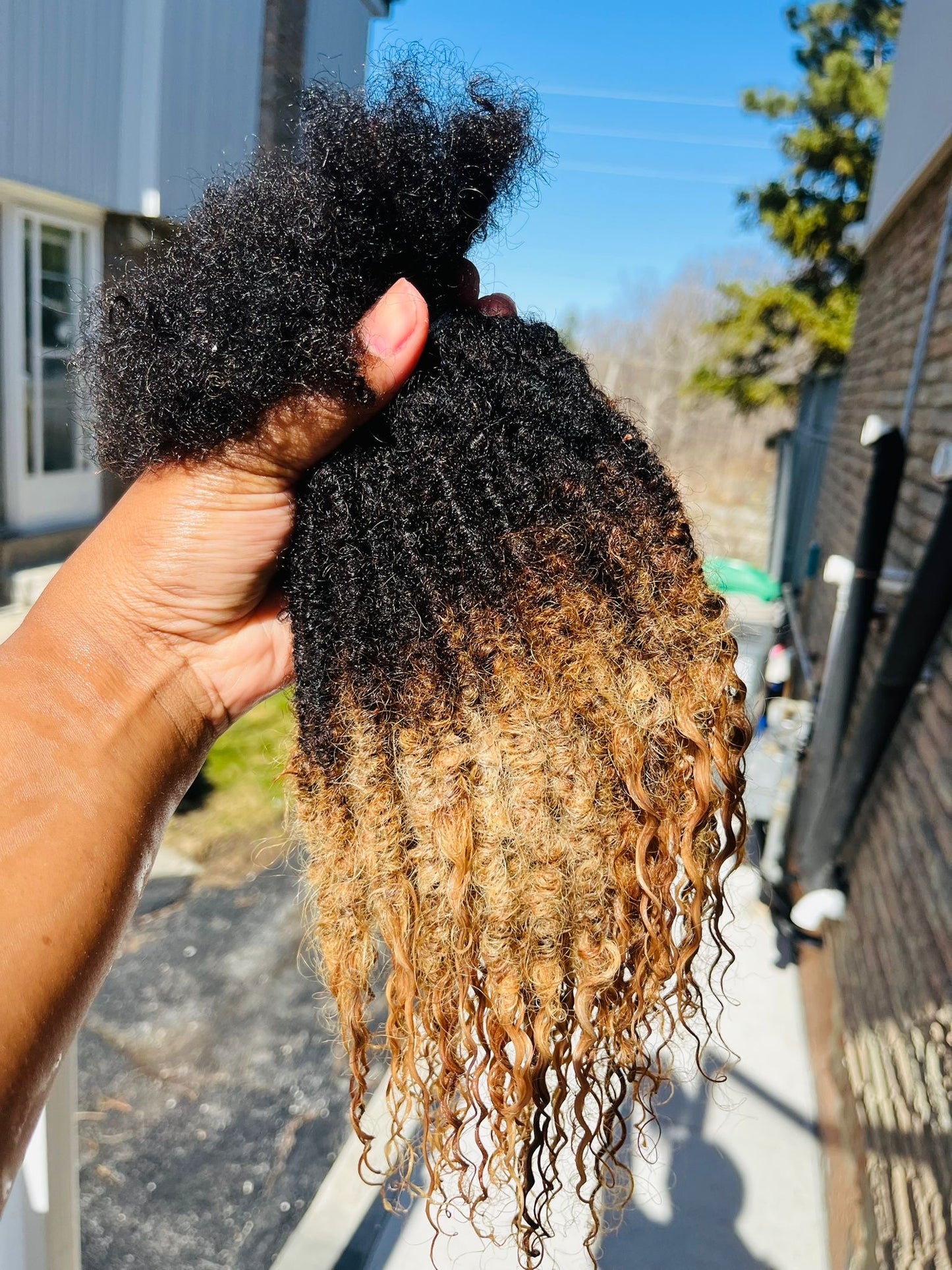Goddess Locs (80 Strands)