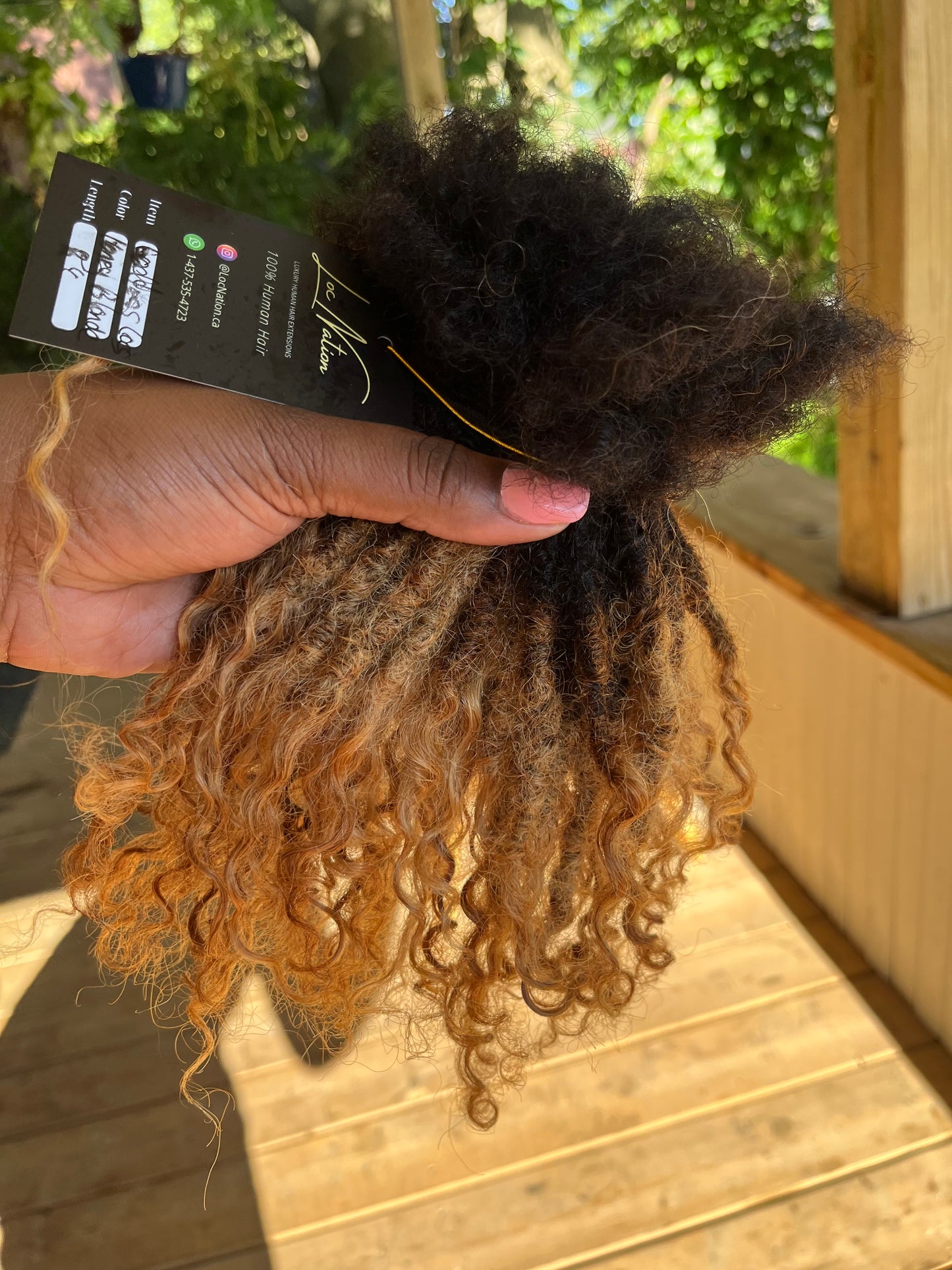 Goddess Locs (80 Strands)