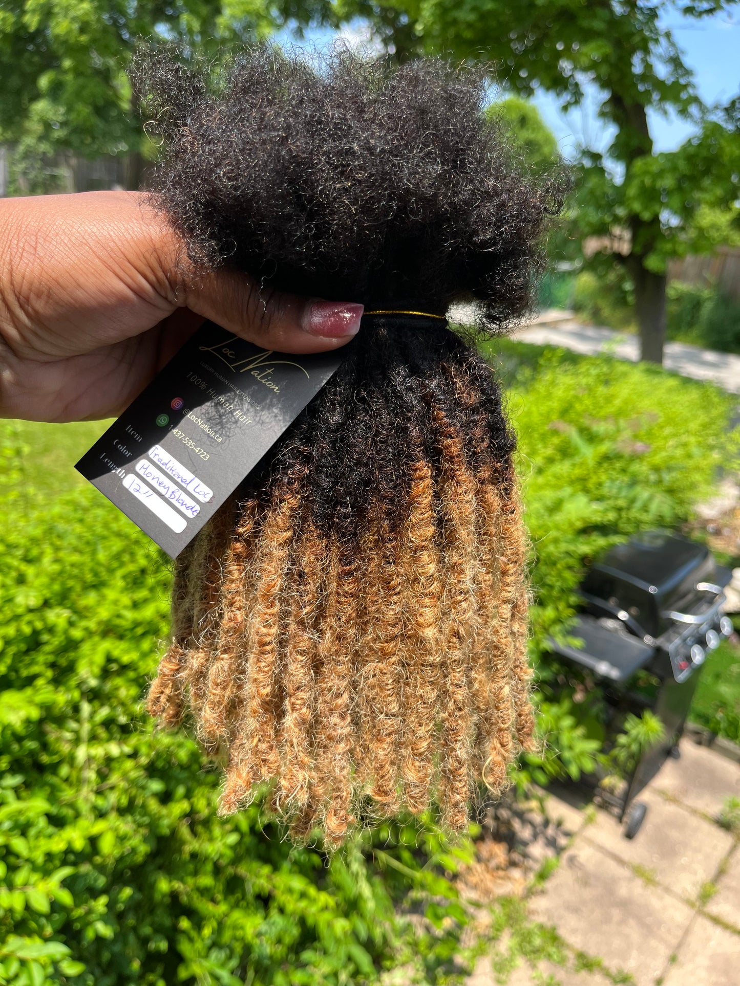 Traditional Locs (100 Strands)