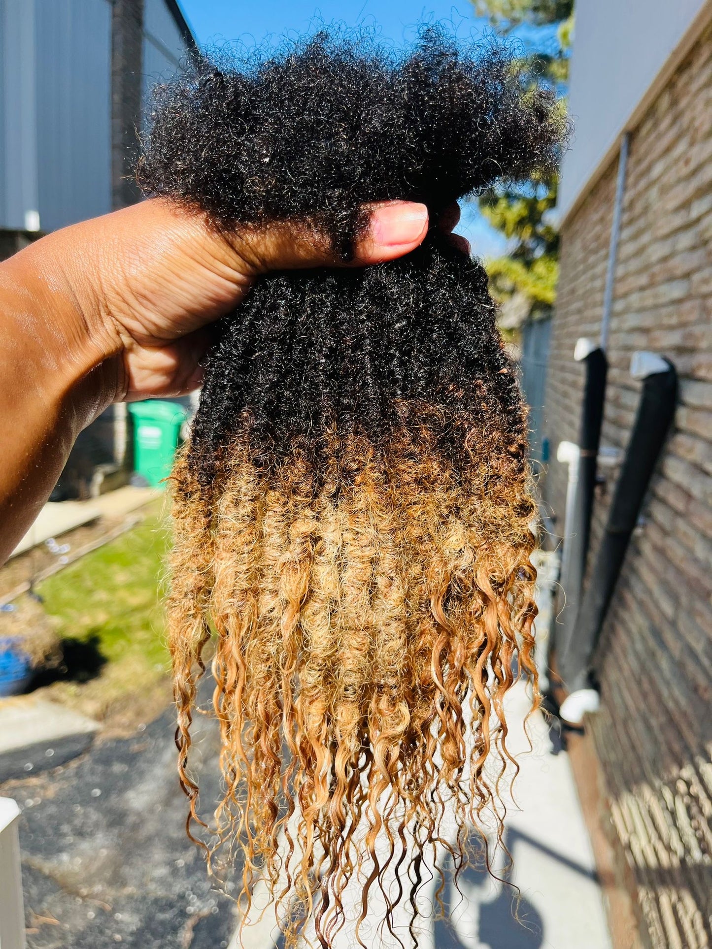 Goddess Locs (80 Strands)